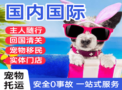 萧山机场空运国际宠物托运 【国